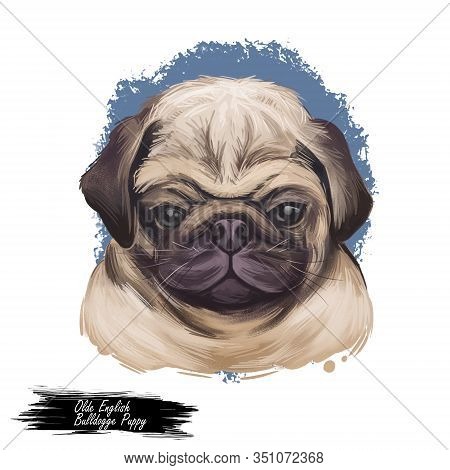 Puggle Digital Art Illustration Of Cute Dog Muzzle Isolated On White. Crossbreed Dog Between Beagle 