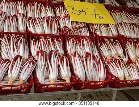 Red Chicory Called Radicchio Tardivo In Italian Language And Tag With Price At Market