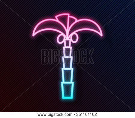 Glowing Neon Line Tropical Palm Tree Icon Isolated On Black Background. Coconut Palm Tree. Vector Il