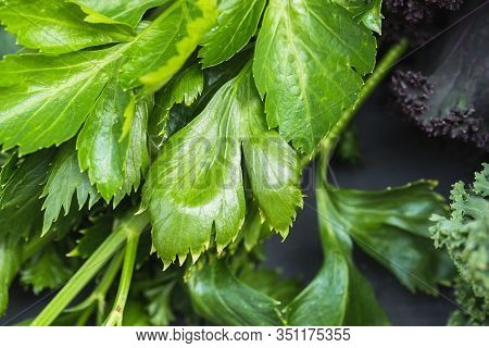 Green Vegetables Food Collage. Silver Beet, Kale, Celery And Chard.