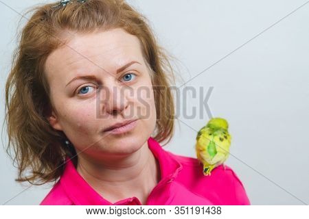 Funny Budgie. A Cute Yellow Budgie Parrot Is Sitting On The Girl S Shoulder. Tamed Pet