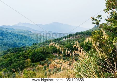 Panoram View Of Cilento National Park Near Roscigno, Cilento, Campania, Italy