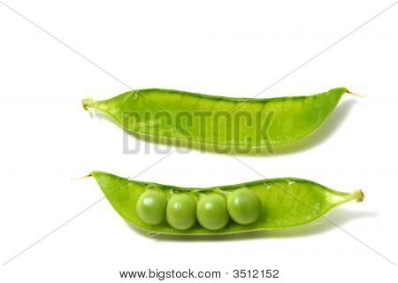 Ærter