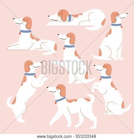 Collection Of Funny White Dogs In Different