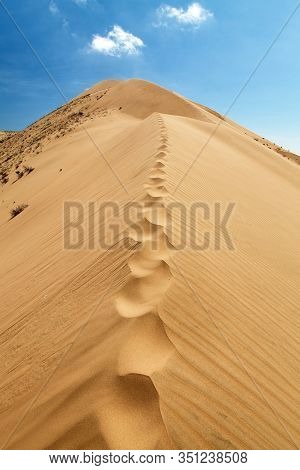 Cerro Blanco Sand Dune, The Highest Dunes On The World Located Near Nasca Or Nazca Town In Peru