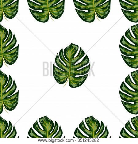Tropical Pattern. Seamless Texture With Bright Hand Drawn Leaves Of Monstera.