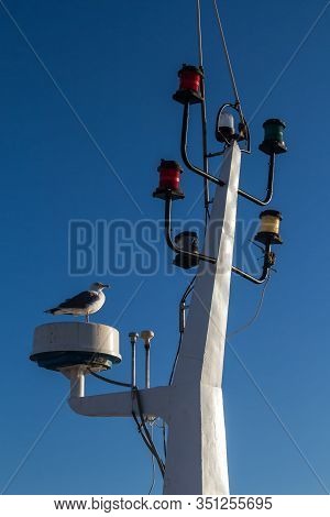 Detail Of The Mainmast With Various Colorful Lights For Signalization. Seagull Standing. Bright Clea