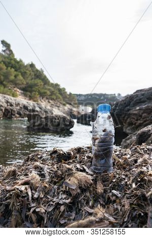 Deteriorated Plastic Bottle Returned By The Sea On A Beach In Mallorca, On A Layer Of Seaweed. Envir