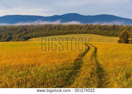 Morning fog under Vihorlat, Slovakia