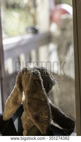 Easter Bunny Looks Expectantly Out Of The Window Over The Veranda Into The Garden. High Angle View, 
