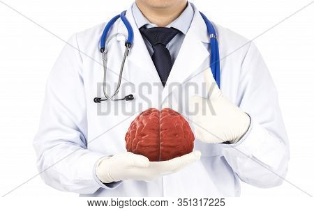 Doctor Hold Brain Show Stance Excellent Symptoms , Good Health