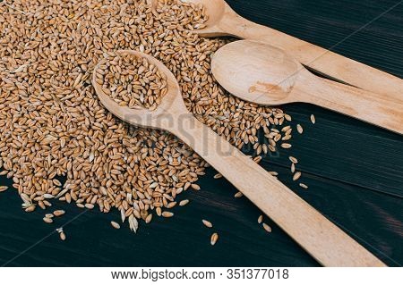 Wheat Harvest. Dry Ripe Wheat Grains On Wooden Background