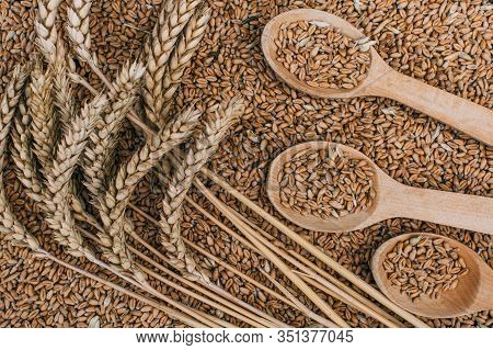 Ears Of Wheat And Spoon Of Wheat Grains On Wooden Table