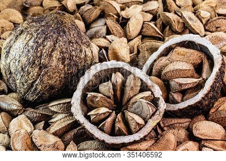 Chestnuts From Pará, Also Known As Brazil Nuts (in Portuguese: Castanha-do-pará Or Castanha-do-brasi