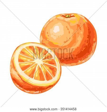 Illustration Of Ripe Orange And Slice. Summer Fruit In Decorative Style.