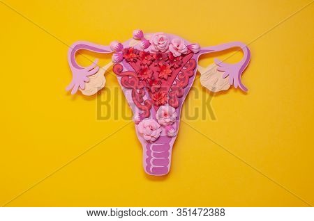 The Womens Reproductive System. The Concept Of Endometriosis Of The Uterus. Beautiful Art Concept Of