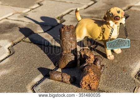 Excrement Dog On Floor. Shit On The Street. Shit Of Dog On The Street Pavement. Concept Of Picking U