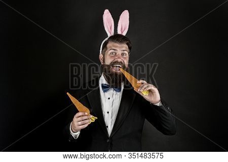 Here Comes Easter Bunny. Bearded Man With Bunny Ears Eat Carrots. Bunny Costume Accessory. Symbol Of