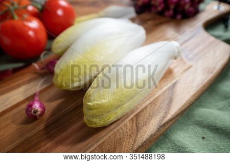 Fresh Belgian Endive Or Chicory Bitter Salad Ready To Cook Or Eat