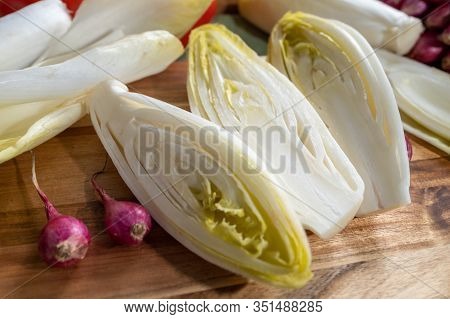 Fresh Belgian Endive Or Chicory Bitter Salad Ready To Cook Or Eat