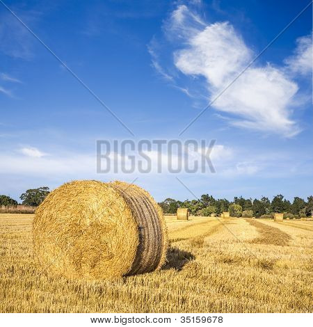 Hø baller Under dyb blå sommer himmel