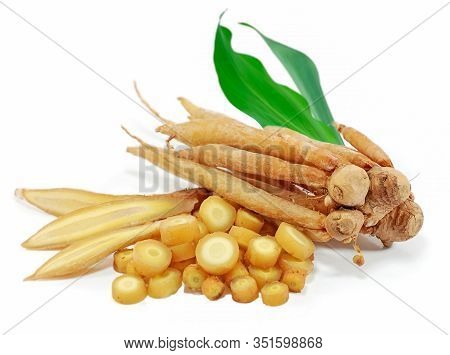 Fresh Fingerroot Isolated Cut Out On White Background