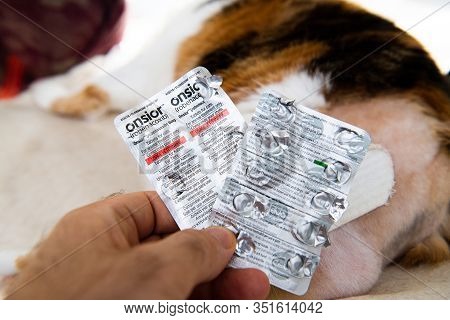 Paris, France - Jul 20, 2019: Man Hand Holding Kesium 62.5 And Onsior Tablets For Cats Blister Pills