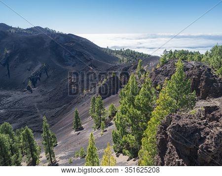 Volcanic Landscape With Lush Green Pine Trees, Colorful Volcanoes And Lava Crater Deseada Along Path