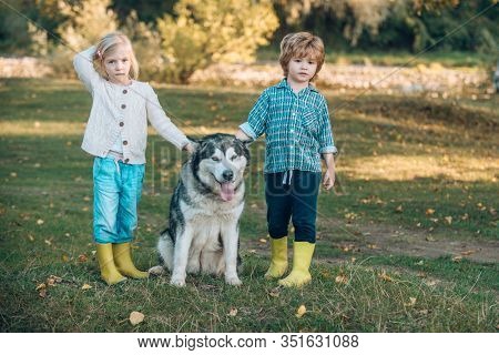 Kids With Cute Dog. Boy And Girl Playing With His Dog On The Lawn In The Park. Full Length Portrait