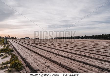 A Wide-angle Evening Shot Of Arable Land With A Selective Focus On The Background, Field With A Sown