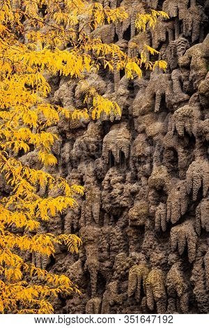 Stalagmite In Autumn Park In Prague Chezh