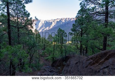 Scenic View On Caldera De Taburiente With Green Pine Forest, Ravines And Rocky Mountains Near Viewpo
