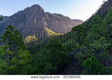 Scenic View On Caldera De Taburiente With Green Pine Forest, Ravines And Rocky Mountains Near Viewpo