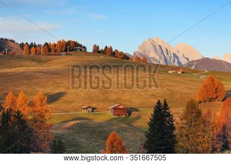 Autumn sunrise scenery with yellow larches in Alpe di Siusi (Seiser Alm) Dolomites, Italy, Europe