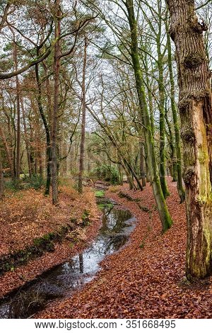 Nature Park Zeisterbos Around Hertenkamp In Zeist, Netherlands
