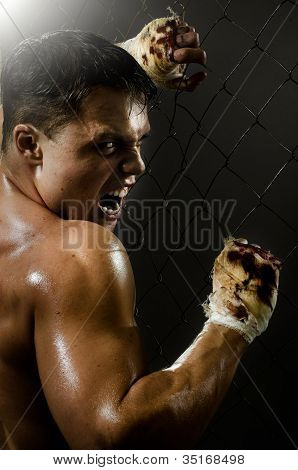 Street Fighter