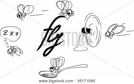 Fly
