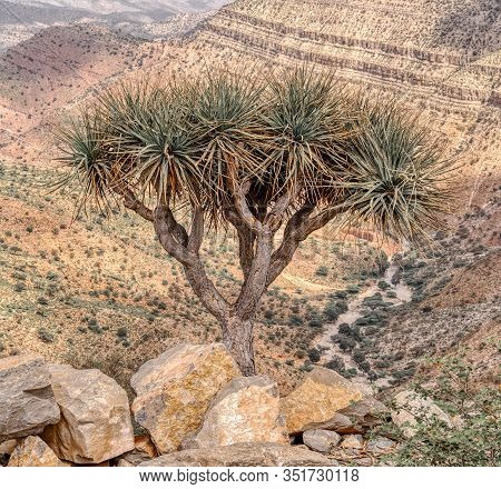 Beautiful Highland Landscape With Valley. Afar Region Near City Mekelle. Ethiopia, Africa Wilderness