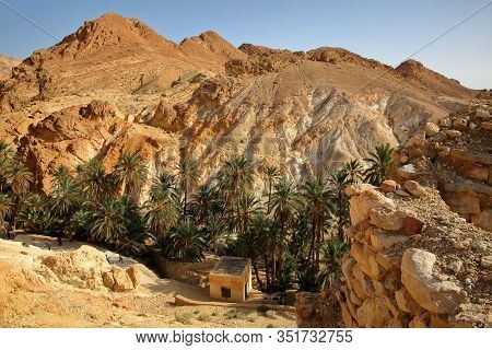 The Oasis Of Chebika Near Nefta, Tunisia, With Palm Trees, Canyon And Mineral Rocks