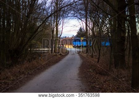 Forest Train In Amazing Autumn Colors. Bright Lights, Fantastic Mood. Childrens Train In Budapest. S