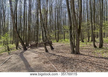 Footpath In The Spring Forest. Bitsa Park, Moscow, Russia. Sunny Day At The End Of April.