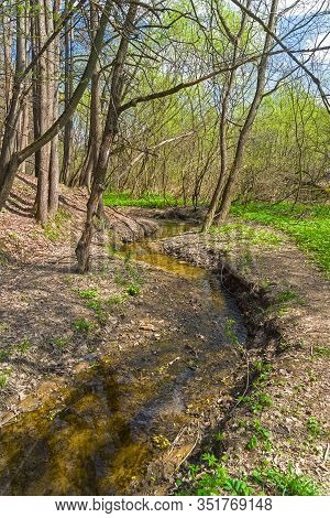 Beautiful Transparent Creek In The Spring Forest.bitsa Park, Moscow, Russia. Sunny Day At The End Of