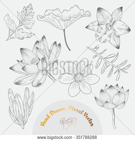 Set Of Hand Drawn Tropical Flowers And Leaves Vector In Black And White Styles.