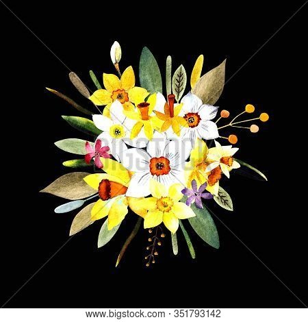 Flower Composition With Daffodils On Black Background. Template For Invitation Card, Print. Watercol