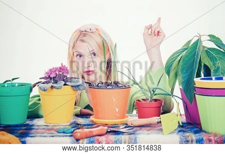 Beautiful Young Woman With Flover Pot. Watering Flowers. Gardener Woman Planting Flowers. Cute Blond