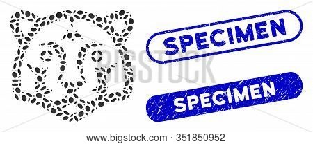 Mosaic Tiger Head And Grunge Stamp Seals With Specimen Text. Mosaic Vector Tiger Head Is Designed Wi