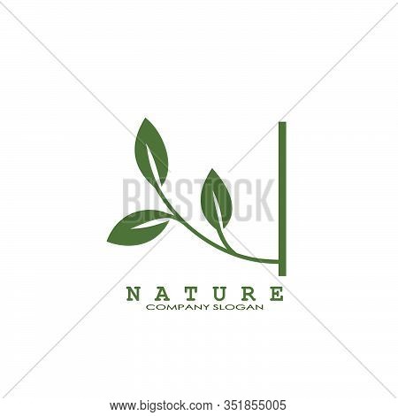Nature Floral Leaf Logo Vector Design Concept Naturally Floral Leaf.