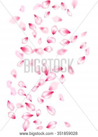 Spring Tree Flowers Parts, Airy Flying Petals Windy Blowing Background. Bloom 3d Particles. Natural 