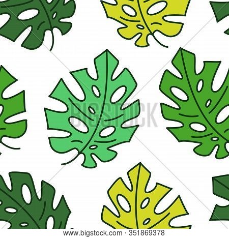 Seamless Pattern Of Tropical Leaves Of Exotic Monstera Plant With Holes On A Repeating White Backgro