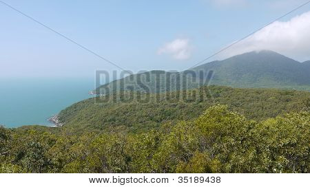 Cooktown tropicale